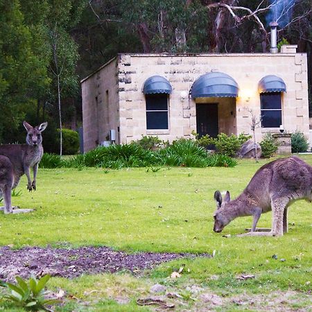 Marwood Villas Halls Gap Bagian luar foto