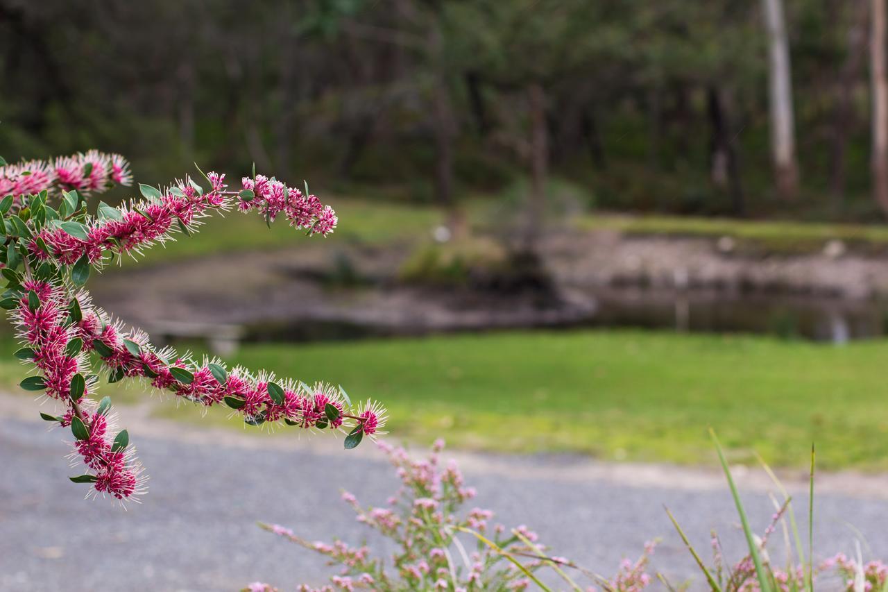 Marwood Villas Halls Gap Bagian luar foto