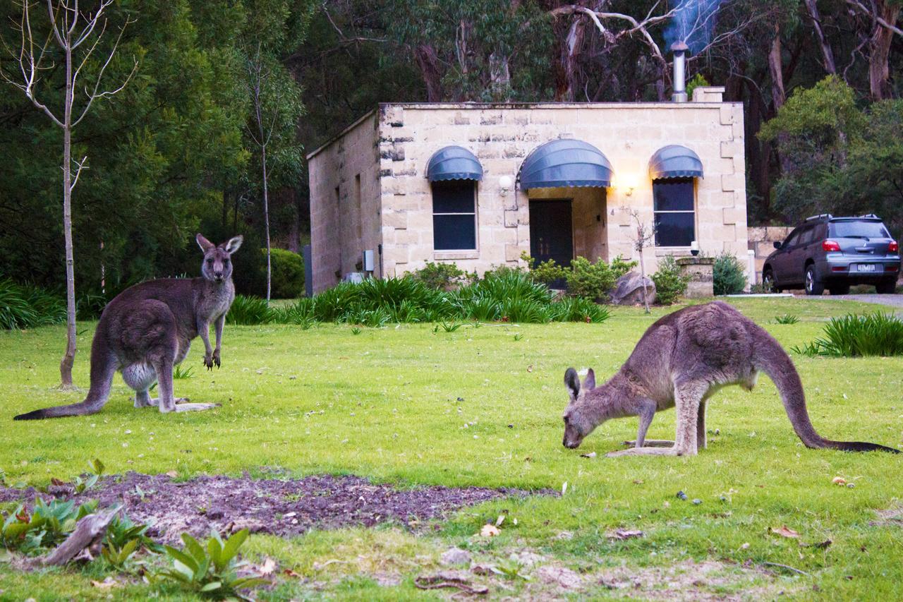 Marwood Villas Halls Gap Bagian luar foto