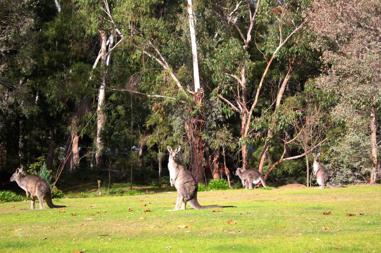 Marwood Villas Halls Gap Bagian luar foto