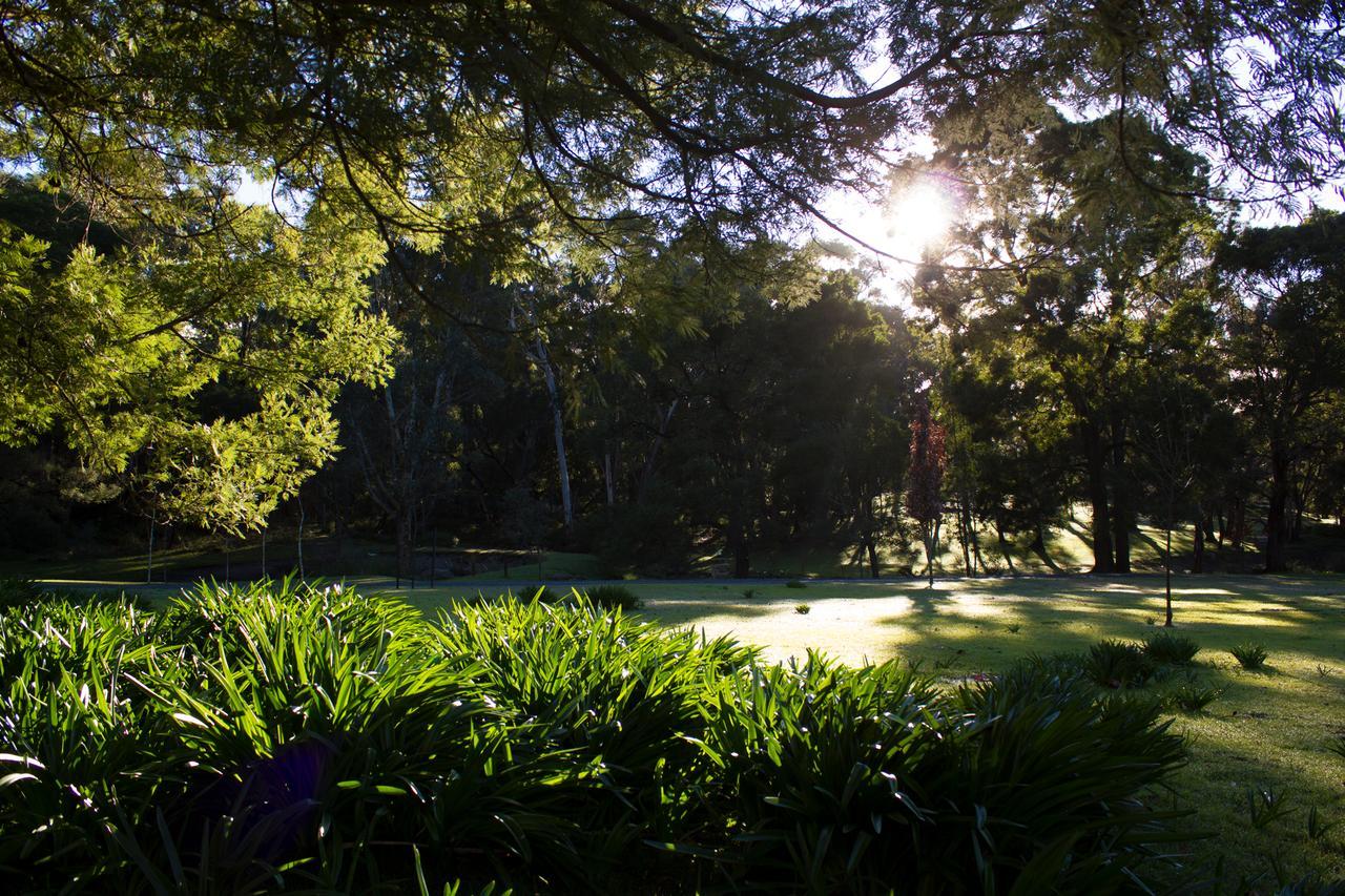 Marwood Villas Halls Gap Bagian luar foto